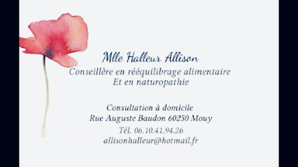 0Lja9F-logo-halleur-allison-conseillere-en-reequilibrage-alimentaire-et-en-naturopathie.png