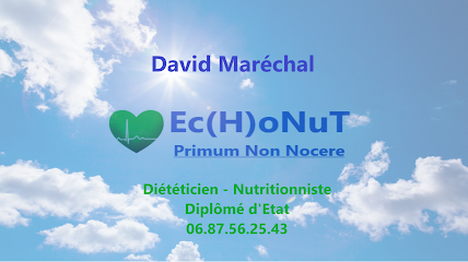 0aMojN-logo-david-marechal.png