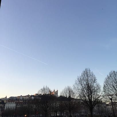 27Kn9o-lyon.jpg