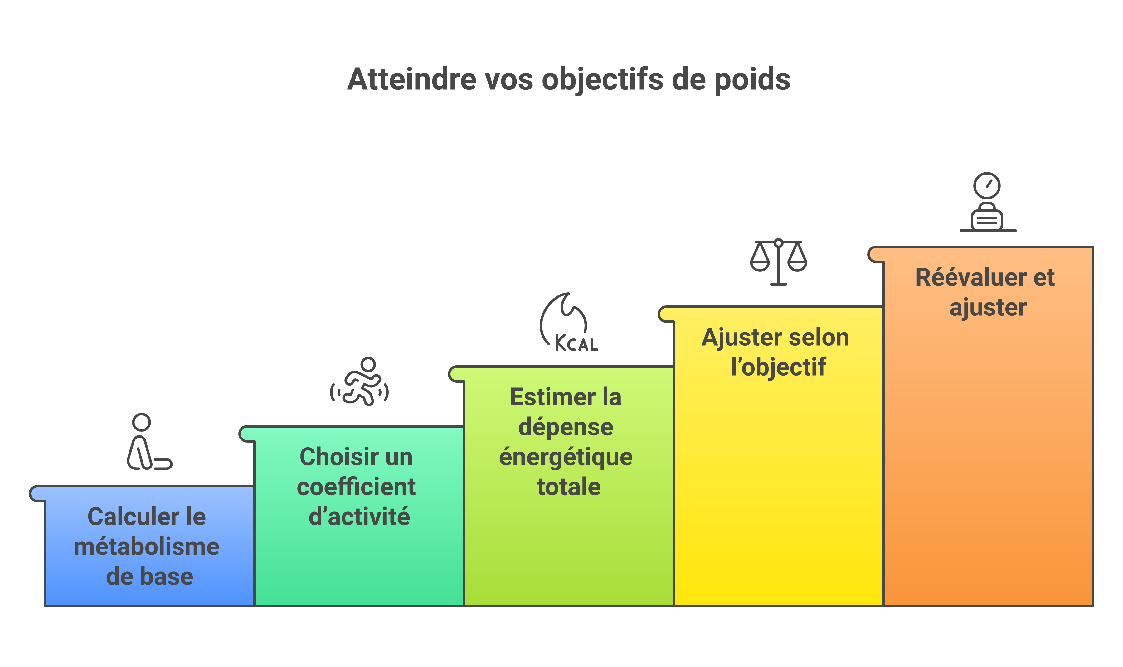 Étapes pour passer du métabolisme de base aux besoins caloriques journaliers