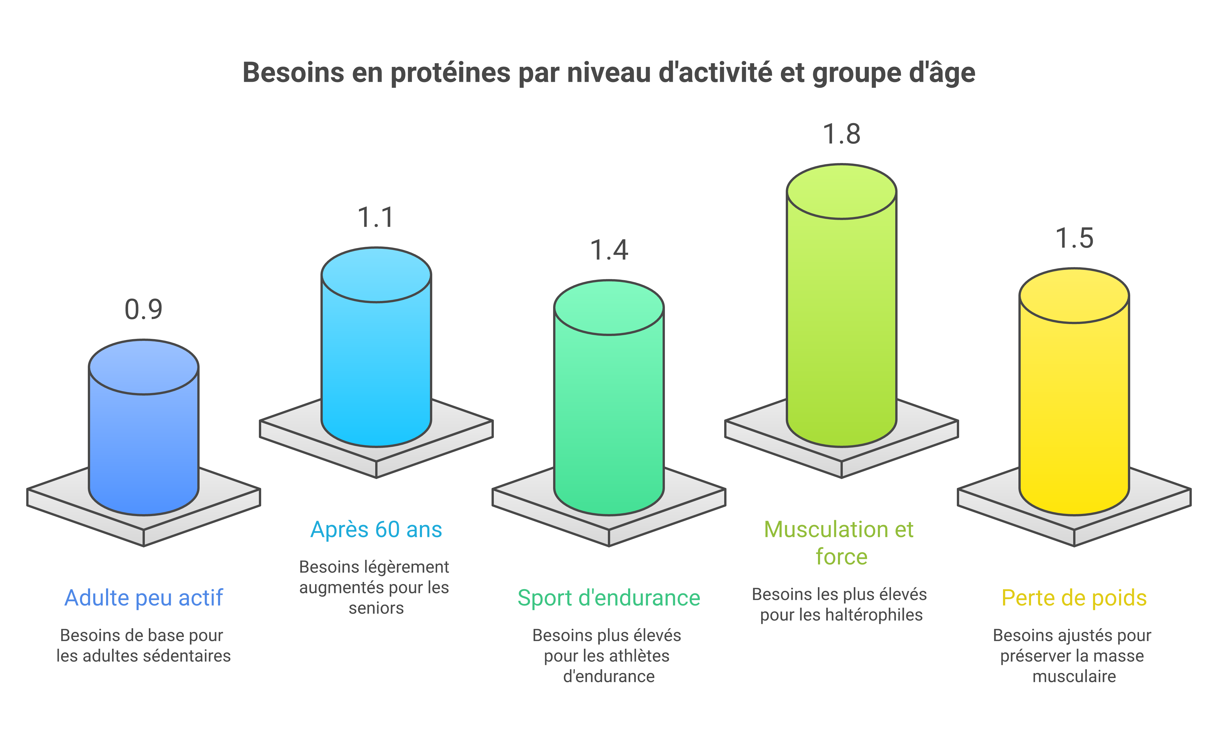 Comparatif des besoins en protéines selon le profil