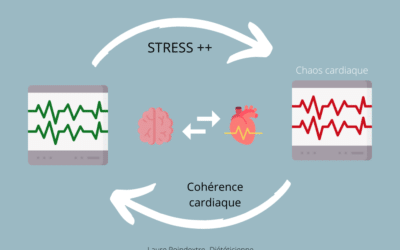 La cohérence cardiaque : un outil pour réduire mon stress et apaiser mon quotidien